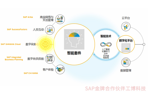 創(chuàng)業(yè)版IPO，企業(yè)上市，成長(zhǎng)型企業(yè)融資上市，SAP智能云ERP，云ERP系統(tǒng)