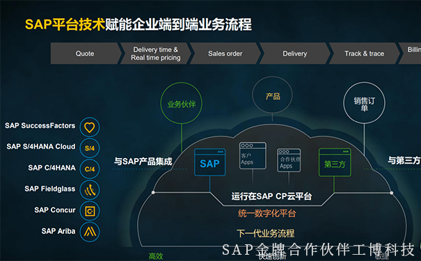 企業(yè)出海,企業(yè)數(shù)字化,SAP智慧云ERP,云ERP系統(tǒng),SAP云平臺(tái)