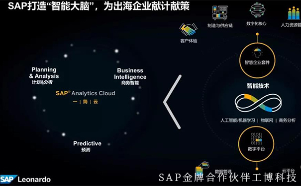 企業(yè)出海,企業(yè)數(shù)字化,SAP智慧云ERP,云ERP系統(tǒng),SAP云平臺(tái)