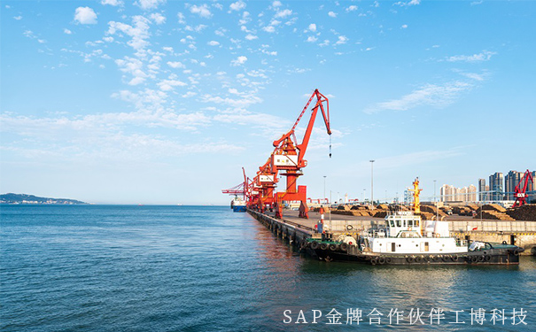 企業(yè)出海,企業(yè)數(shù)字化,SAP智慧云ERP,云ERP系統(tǒng),SAP云平臺(tái)