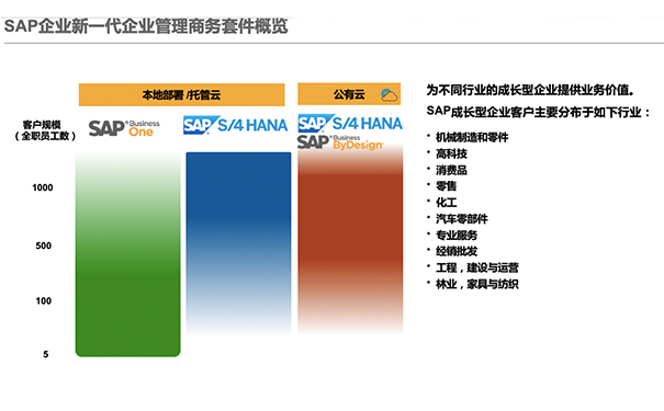 SAP云ERP,SAP云解決方案,SAP公有云產(chǎn)品,SAP S/4HANA Cloud私有云版本,RISE with SAP解決方案包