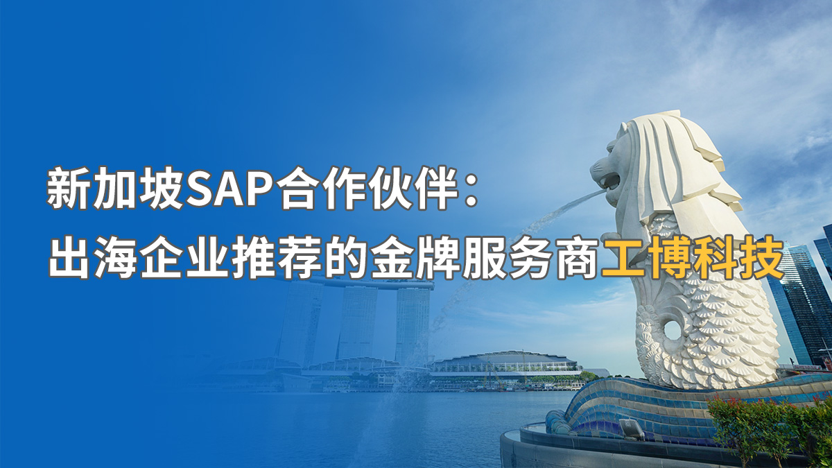 如何提升新加坡SAP實(shí)施成功率？揭秘中資企業(yè)出海的“合規(guī)密碼”