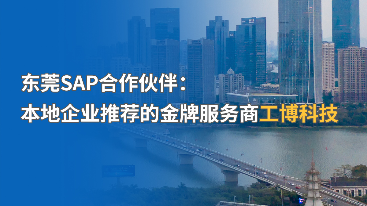 東莞SAP本地化服務(wù)商推薦，哪家更專業(yè)？